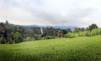 Ipsa Villa