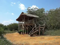 Hornbill Bush Lodge Hotels in Nwoya