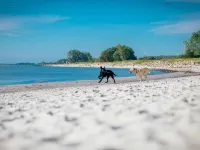 Haus in Damp Nahe Ostseestrand - Beach