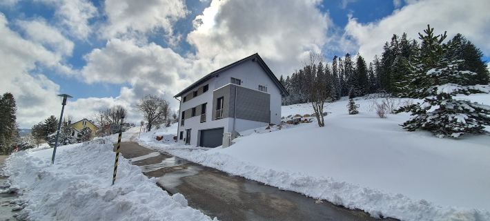 Adlernest Hotels in Feldberg