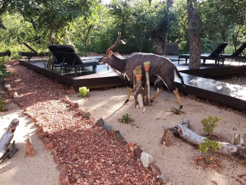 Gem in the Bush Lodge - Breakfast