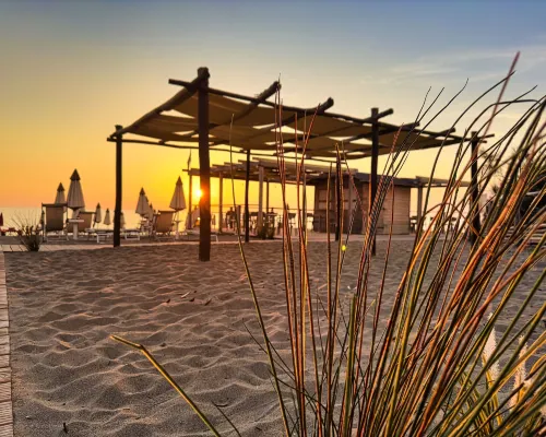 Csa Hotel - Park & Beach Hotels in Bibbona