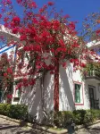 Casa Don Johan A1 Playa de Mogan
