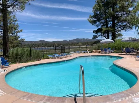 Brown Bear's Den Condo