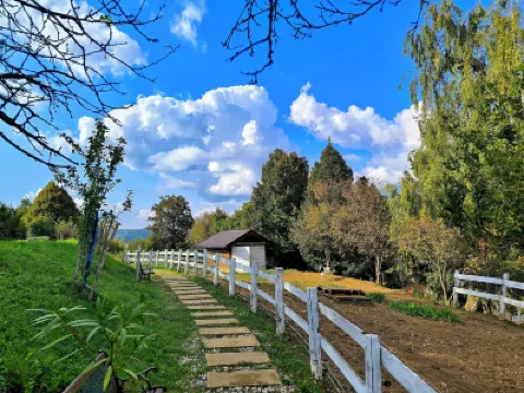 Discover the Magic of Nature Hotel a 