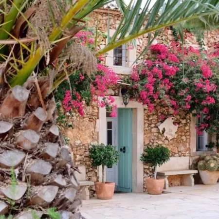 Finca Hotel Rural Es Turó