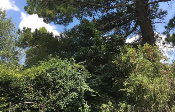 木蘭異國情調度假屋