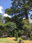 The Best Exotic Magnolia Cottage - Wifi