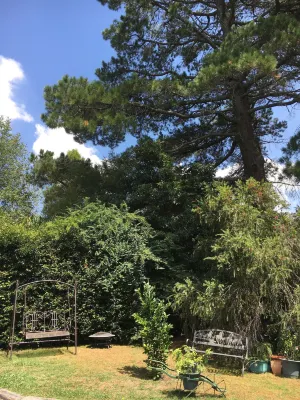 The Best Exotic Magnolia Cottage Hotels near Spa at Solar Springs Health Retreat