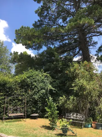 The Best Exotic Magnolia Cottage