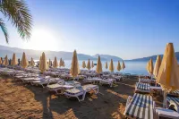 Aurasia Beach Hotel - Beach