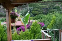 Naz Apartlari Cirali