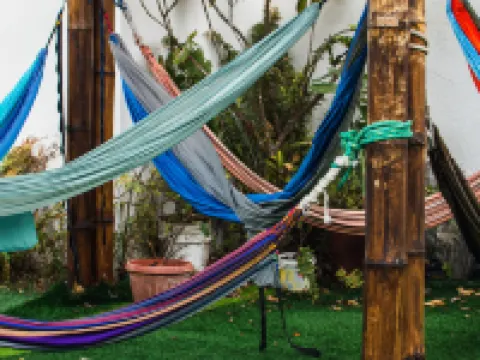 Gran Hostal Tintorera Hoteles en Isla Isabela