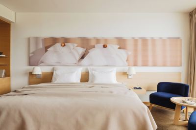 デラックス ジュニア スイート ファルケンスタイナー バランス リゾート シュテガースバッハ(大人専用)の写真