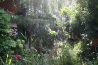 4 star premium vacation home Antonia, central, close to the city,