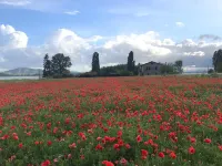 At Casa di Elisa on Lake Trasimeno Hotels in Magione