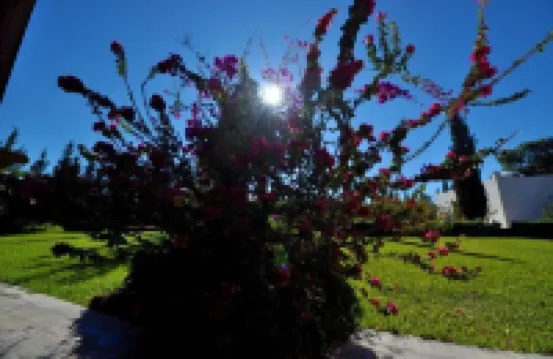 Villa Dar Sultana, near Essaouira