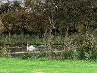 Gatekeeper cottage overlooking lake Hotels in East Ruston