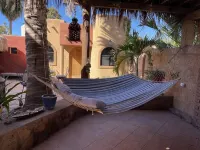 Amorito Guest house, Pool, 1 block from beach, 6 blocks from downtown