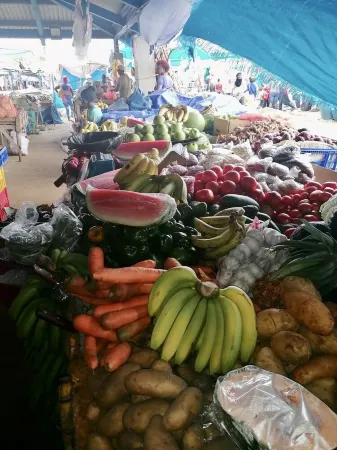 VILLA BY THE SEA - Steps from the BEACH - CHEF services included