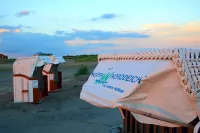 North Sea coast on a natural beach!