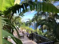 Virgin Island Villa Suite, View, Private Pool & Hot Tub!