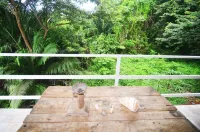 Iguana house very close to the center with a beautiful view in the jungle