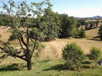 Promo end of August 25% 3 bedroom cottage of 85m2 with south facing terrace of 60m2