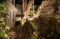 Caseiba Peaceful Stays 8