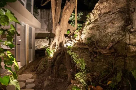 Caseiba Peaceful Stays 8