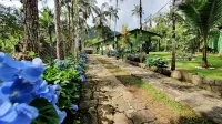 SITE IN UBATUBA WITH SWIMMING POOL AND FISHING POND