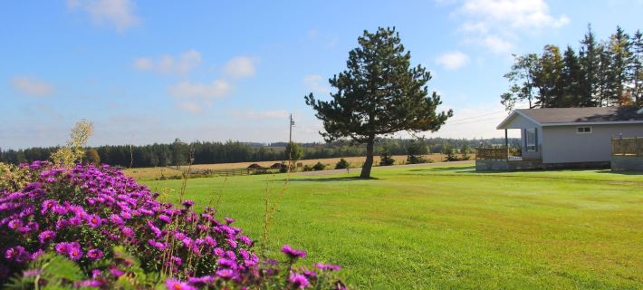 Meadowview Cottages Hotels in Queens County