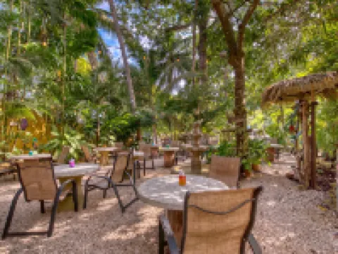 El Sano Banano Beachside Hotel Hotels in Montezuma
