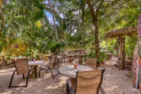 El Sano Banano Beachside Hotel Hotels in Montezuma