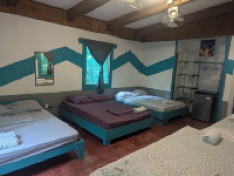 Tasty Dayz Hostel Hotels in Cocles