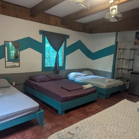 Tasty Dayz Hostel Hotels in Cocles