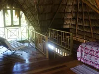 Pine Ridge Lodge Hotels in San Ignacio