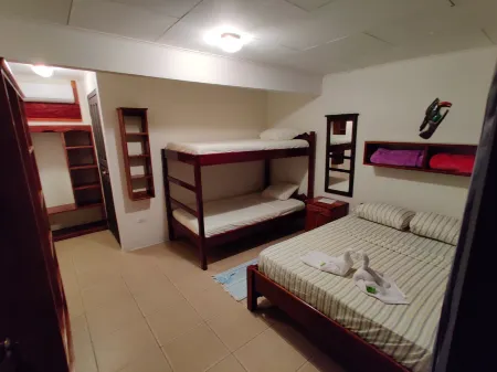 Cabinas Pura Vida B&B Tour Operator