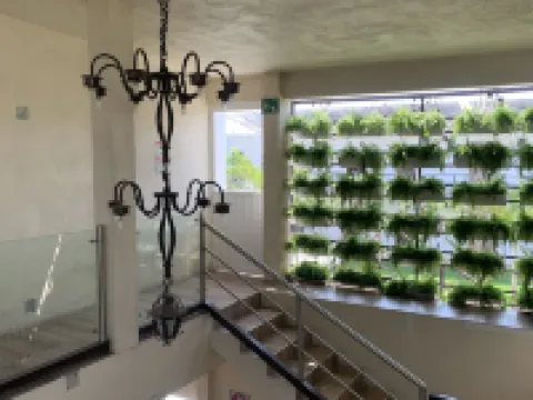 Posada Las Asadas Hoteles en Xochitepec