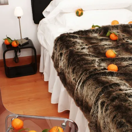 Hostal Santo Domingo