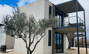 Villa Sophia Valle de Guadalupe