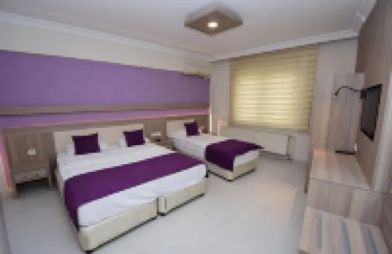 Plevne Otel Hotel di Tokat