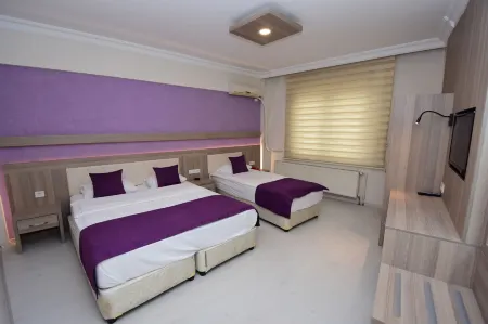 Plevne Otel Отели в г. Gulbaharhatun Mahallesi