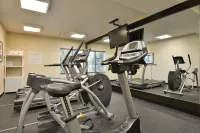 Holiday Inn Express BOSTON-MILFORD by IHG - Gym