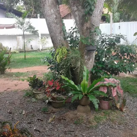 Erandi Holiday Home