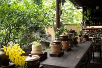 Amazing Ninh Binh Garden - Rooftop Pools