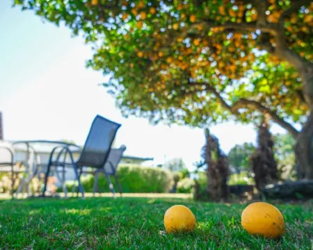 Montana Lodge Motel Hotel di Blenheim