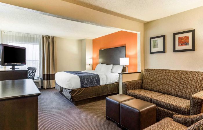 Comfort Inn Wings Stadium