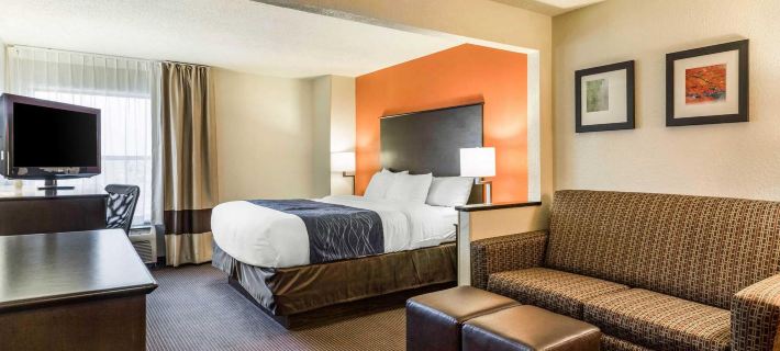 Comfort Inn Wings Stadium Hotels in Kalamazoo