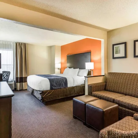 Comfort Inn Wings Stadium